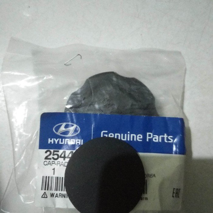 Tutup Tabung Radiator Hyundai H1 Royal Starex All Tipe